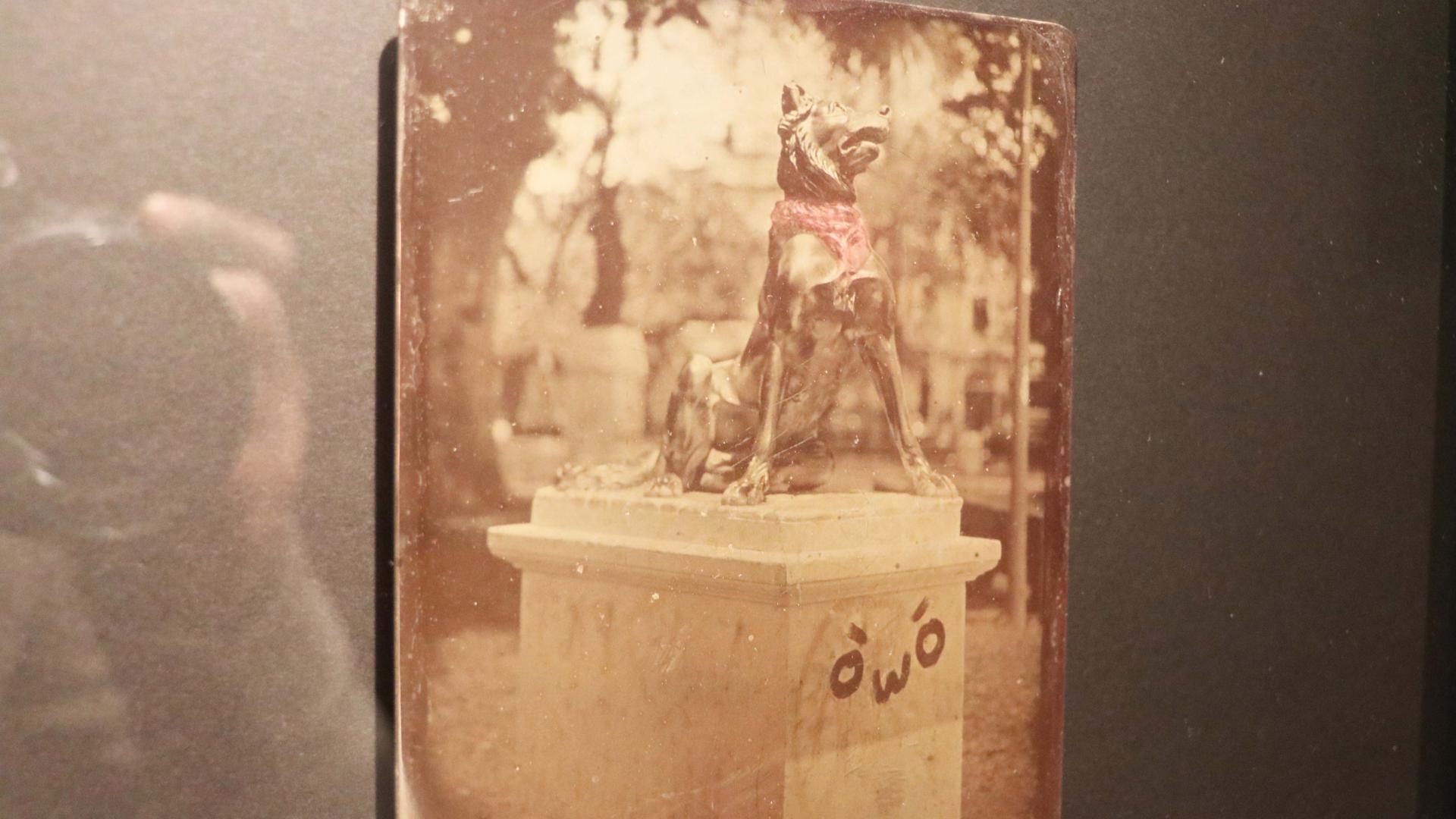 Imagen de la exposición del fotógrafo Mauricio Toro-Goya.