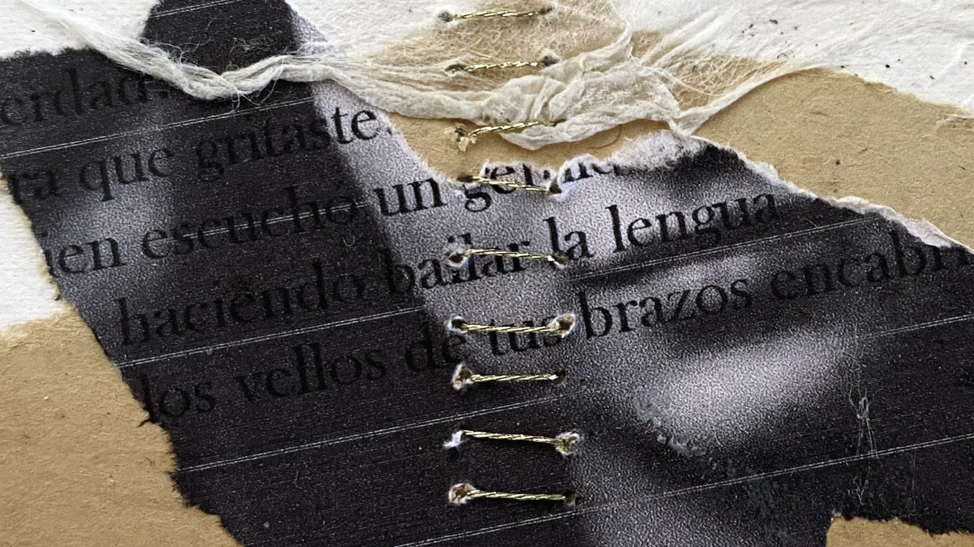 colectivo Autoras Chilenas (Auch+)