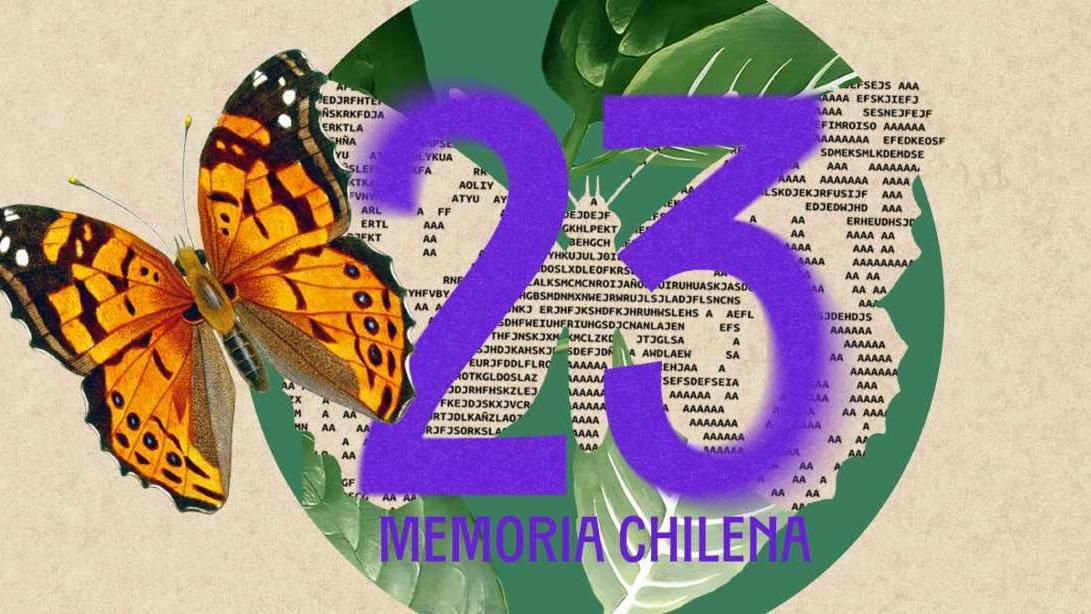 Memoria Chilena ha investigado y publicado 990 minisitios sobre historia, literatura y patrimonio cultural de nuestro país. 