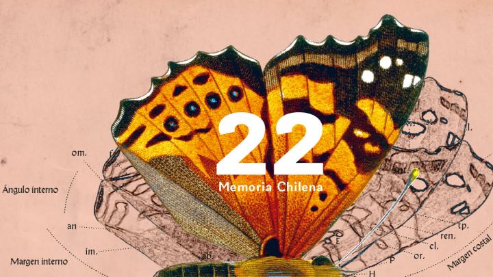 Gráfica para el 22° aniversario de Memoria Chilena