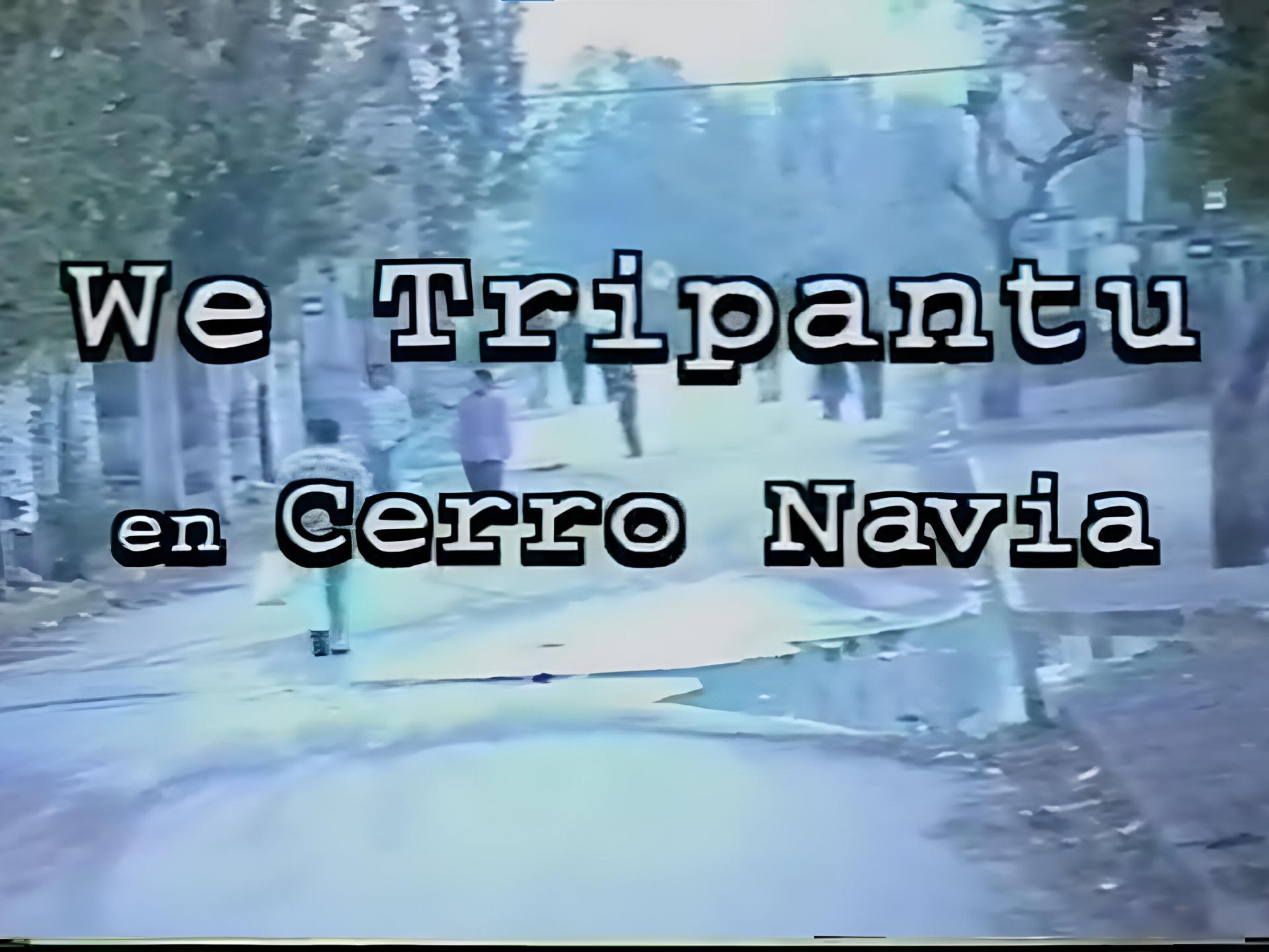 La obra destaca por documentar la temática mapuche urbana en la comuna de Cerro Navia en 1997.