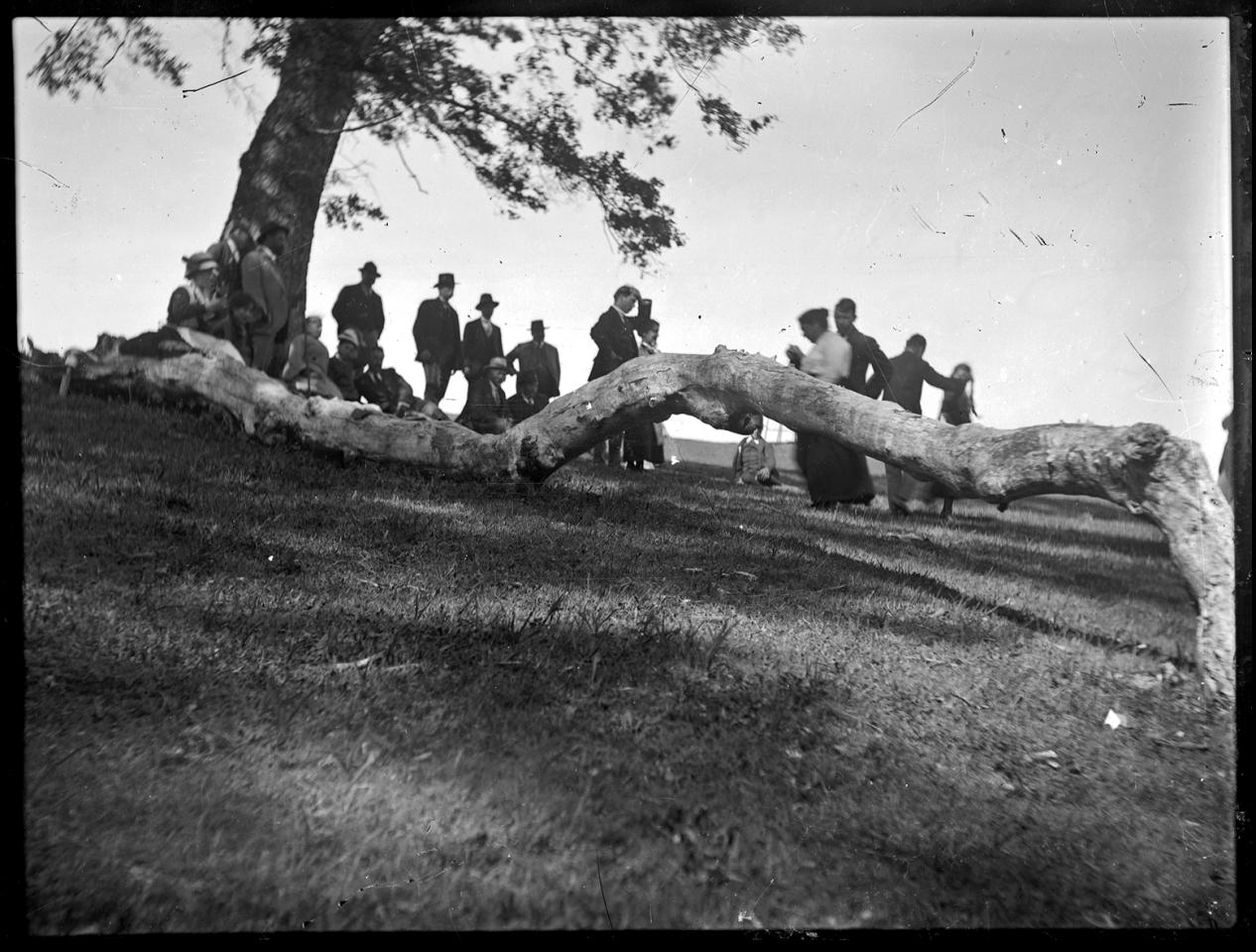 Vecinos de Cholchol (c. 1920)