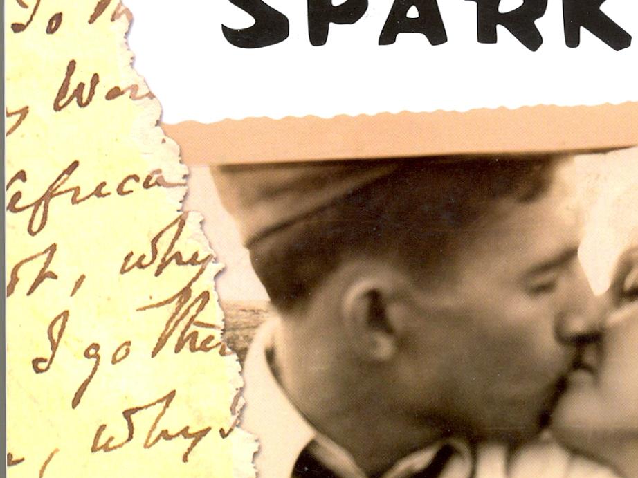 Diario de una pasión de Nicholas Sparks