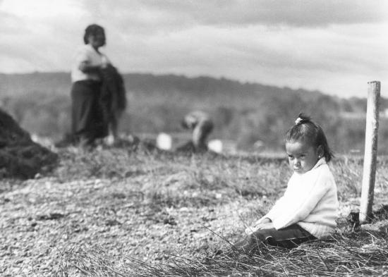 "Mientras ellos trabajan". Peyuco, Puerto Montt, 1989.