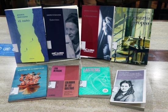 Novedades del boletín de género