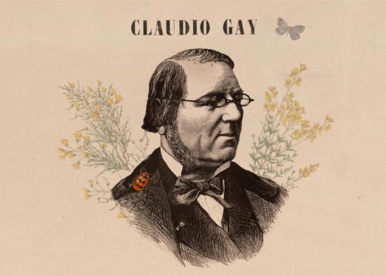 El naturalista Claudio Gay.