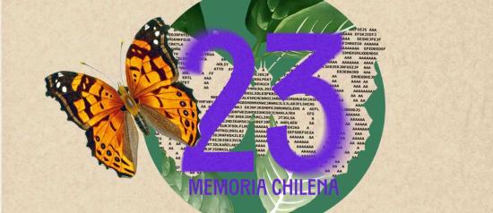 Memoria Chilena ha investigado y publicado 990 minisitios sobre historia, literatura y patrimonio cultural de nuestro país. 