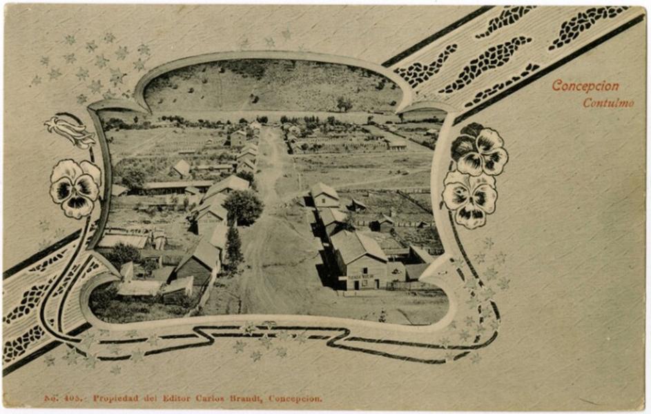 Concepción, Contulmo, Chile (1900-1909) Concepción, Contulmo, Chile (1900-1909)