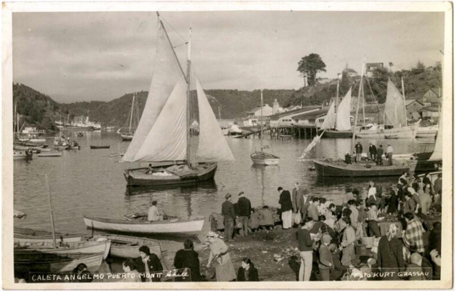 Caleta Angelmó, Puerto Montt, Chile. Caleta Angelmó, Puerto Montt, Chile.