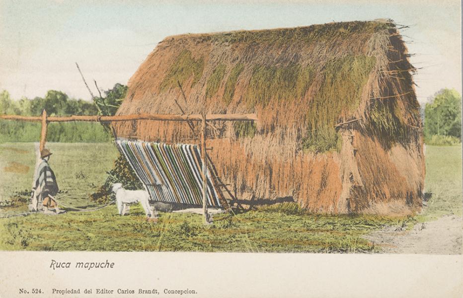 &quot;Ruca mapuche&quot;