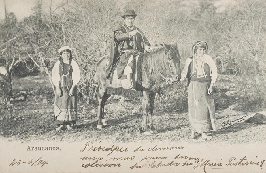 “Araucanos&quot;