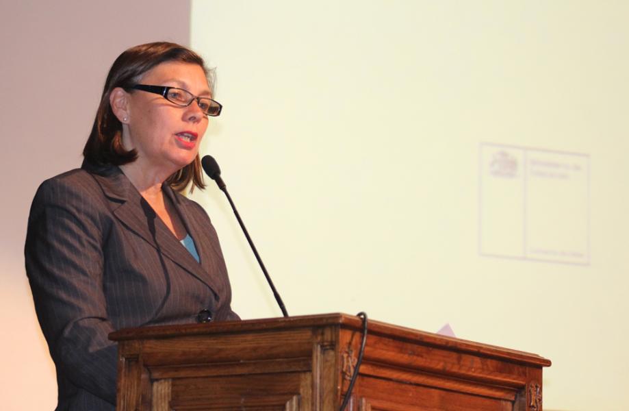 Magdalena Krebs, directora de la DIBAM